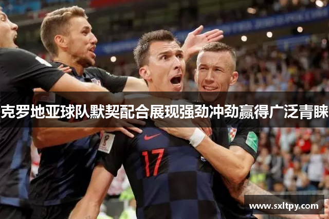 克罗地亚球队默契配合展现强劲冲劲赢得广泛青睐