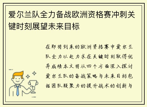爱尔兰队全力备战欧洲资格赛冲刺关键时刻展望未来目标