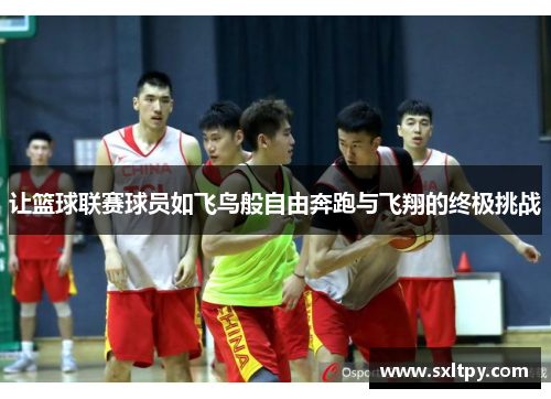 让篮球联赛球员如飞鸟般自由奔跑与飞翔的终极挑战