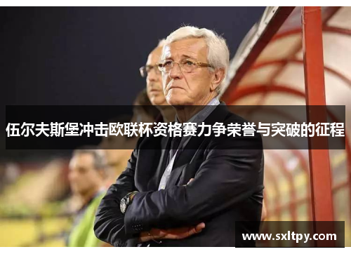伍尔夫斯堡冲击欧联杯资格赛力争荣誉与突破的征程