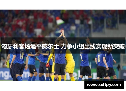 匈牙利客场逼平威尔士 力争小组出线实现新突破