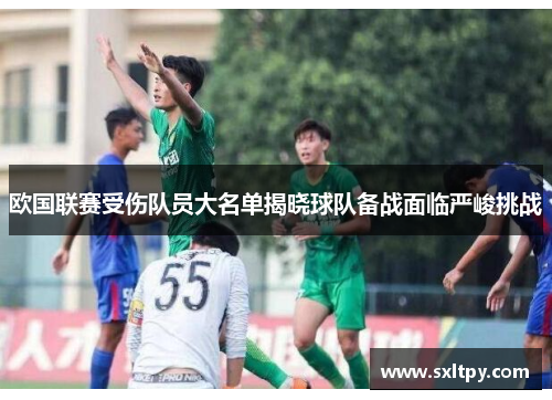 欧国联赛受伤队员大名单揭晓球队备战面临严峻挑战
