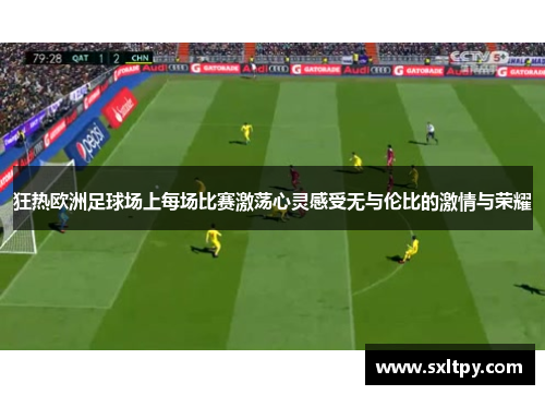 狂热欧洲足球场上每场比赛激荡心灵感受无与伦比的激情与荣耀