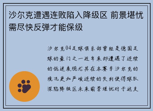 沙尔克遭遇连败陷入降级区 前景堪忧需尽快反弹才能保级