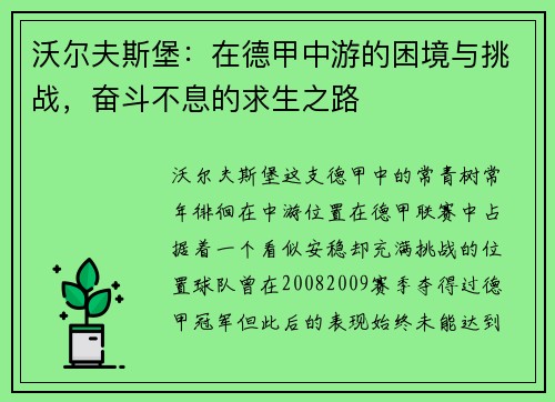 沃尔夫斯堡：在德甲中游的困境与挑战，奋斗不息的求生之路