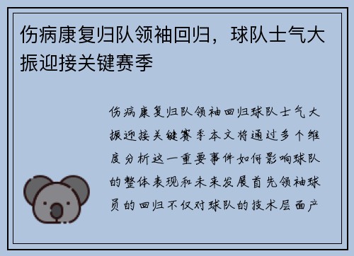 伤病康复归队领袖回归，球队士气大振迎接关键赛季