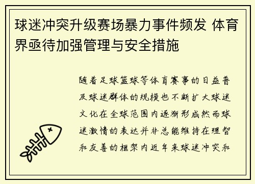 球迷冲突升级赛场暴力事件频发 体育界亟待加强管理与安全措施